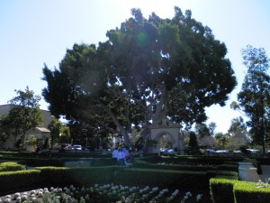 Balboa Park
